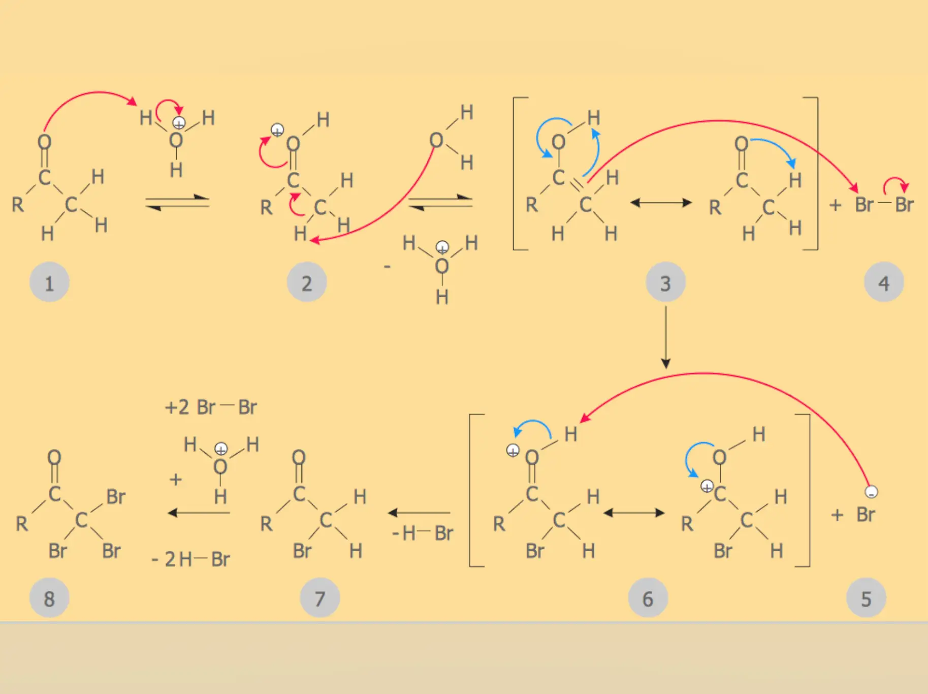 organic mechanism reaction